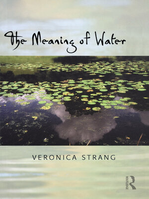 cover image of The Meaning of Water